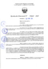 Vista preliminar de documento RD 1027-2025 NX