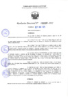 Vista preliminar de documento RD 1028-2025 NX