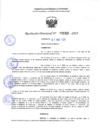 Vista preliminar de documento RD 1031-2025 NX