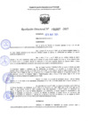 Vista preliminar de documento RD 1037-2025 NX