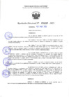 Vista preliminar de documento RD 1039-2025 NX
