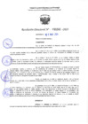 Vista preliminar de documento RD 1041-2025 NX