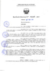 Vista preliminar de documento RD 1045-2025 NX