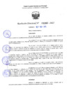 Vista preliminar de documento RD 1060-2025 NX