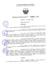 Vista preliminar de documento RD 1065-2025 NX
