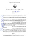 Vista preliminar de documento RD 1073-2025 NX