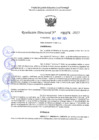 Vista preliminar de documento RD 1074-2025 NX