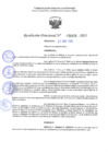 Vista preliminar de documento RD 1078-2025 NX