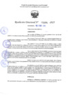 Vista preliminar de documento RD 1081-2025 NX