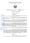 Vista preliminar de documento RD 1082-2025 NX