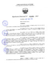 Vista preliminar de documento RD 1084-2025 NX