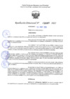 Vista preliminar de documento RD 1089-2025 NX