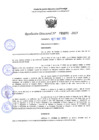 Vista preliminar de documento RD 1091-2025 NX