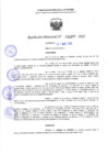 Vista preliminar de documento RD 1097-2025 NX