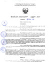 Vista preliminar de documento RD 1099-2025 NX