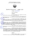Vista preliminar de documento RD 1105-2025 NX