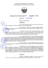 Vista preliminar de documento RD 1106-2025 NX