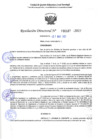 Vista preliminar de documento RD 1107-2025 NX