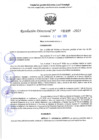 Vista preliminar de documento RD 1109-2025 NX