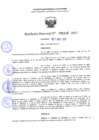 Vista preliminar de documento RD 1110-2025 NX