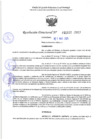 Vista preliminar de documento RD 1112-2025 NX
