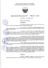 Vista preliminar de documento RD 1113-2025 NX