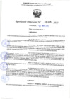 Vista preliminar de documento RD 1115-2025 NX
