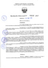Vista preliminar de documento RD 1132-2025 NX