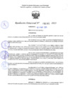 Vista preliminar de documento RD 1141-2025 NX