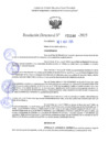 Vista preliminar de documento RD 1144-2025 NX