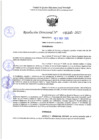 Vista preliminar de documento RD 1145-2025 NX