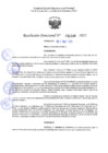 Vista preliminar de documento RD 1146-2025 NX