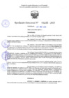 Vista preliminar de documento RD 1155-2025 NX