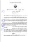 Vista preliminar de documento RD 1156-2025 NX