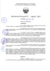 Vista preliminar de documento RD 1159-2025 NX