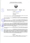 Vista preliminar de documento RD 1160-2025 NX