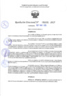 Vista preliminar de documento RD 1161-2025 NX
