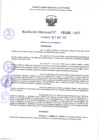 Vista preliminar de documento RD 1162-2025 NX