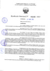 Vista preliminar de documento RD 1165-2025 NX