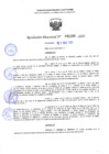 Vista preliminar de documento RD 1166-2025 NX