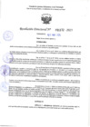 Vista preliminar de documento RD 1172-2025 NX