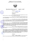 Vista preliminar de documento RD 1175-2025 NX