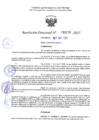 Vista preliminar de documento RD 1176-2025 NX