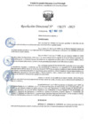 Vista preliminar de documento RD 1177-2025 NX