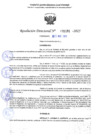 Vista preliminar de documento RD 1181-2025 NX