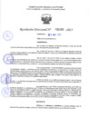 Vista preliminar de documento RD 1183-2025 NX