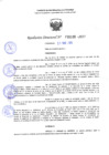 Vista preliminar de documento RD 1186-2025 NX