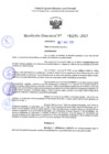 Vista preliminar de documento RD 1191-2025 NX