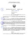 Vista preliminar de documento RD 1193-2025 NX