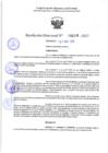 Vista preliminar de documento RD 1194-2025 NX